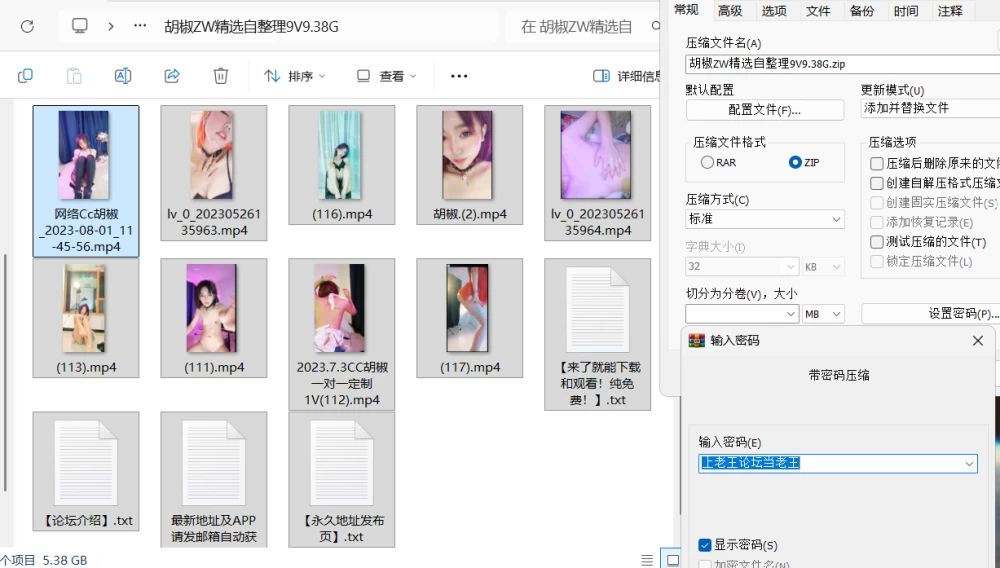 胡椒ZW精选自整理9V9.38G解压密码.png